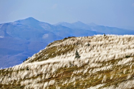 298-bieszczady-widok-z-bukowego-berda-w-stronoe-ustrzyk-jesieae-2017.jpg