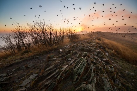 344-bieszczady-przelecz-orlowicza.jpg